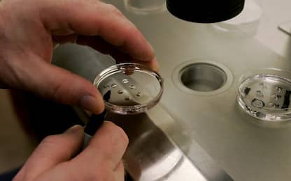La fecondazione in vitro diventa più efficace grazie alla stampa 3D