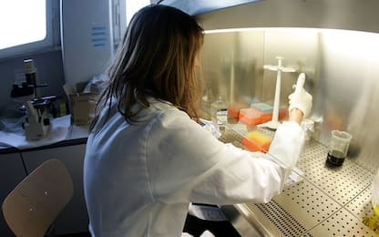 Milano, nasce il nuovo laboratorio di genetica forense