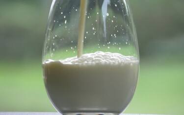 Latte di kefir, le proprietà nutrizionali e i benefici per la salute