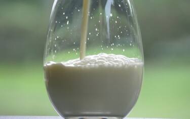 bicchiere_di_latte