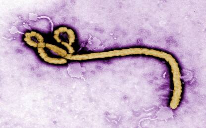 Ebola, autorizzato in Europa il primo vaccino