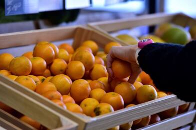 Catania, sorpreso con 200 chili di mandarini rubati in auto: arrestato