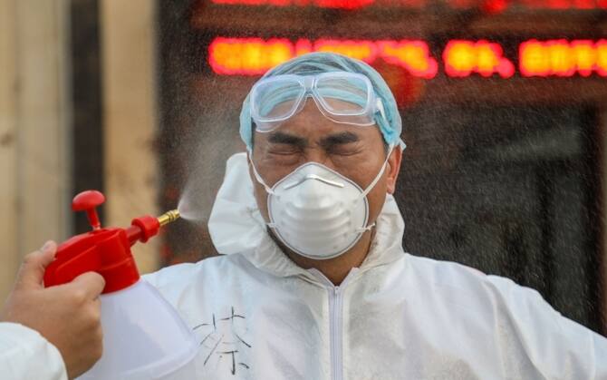 Coronavirus 33 Risposte Per 33 Domande