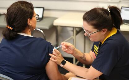 Coronavirus, l'iter e i tempi della corsa al vaccino