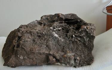 Gli uomini di Neanderthal erano anche collezionisti di rocce