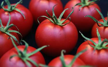 GettyImages-pomodori