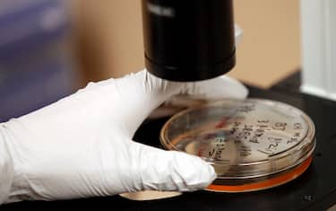 Nature, la rivista che dà voce alla scienza compie 150 anni