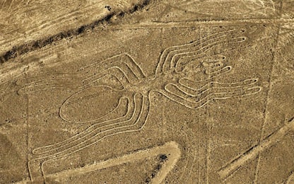 Scoperte in Amazzonia antiche figure geometriche tracciate nel terreno