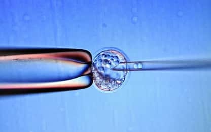 Ottenuto un modello di embrione di tre settimane grazie alle staminali
