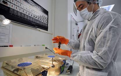 Coronavirus, dalla Cina partiti i primi test del vaccino sui topi 