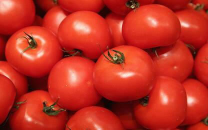 Creati i pomodori senza semi che fanno a meno dell'impollinazione<br>
