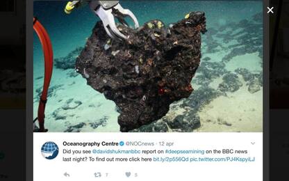 Oceano Atlantico, scoperto un giacimento record di minerali rari<br>
