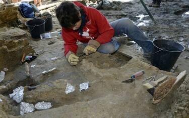 La vita sulla terraferma? Sarebbe nata 3,48 miliardi di anni fa
