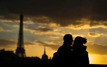 Scoperti nel cervello i segreti dell'amore e della fedeltà