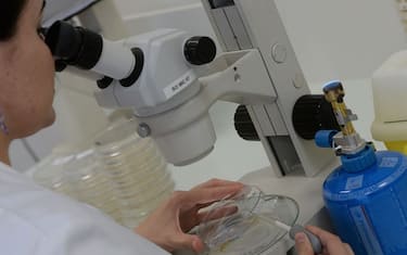 Trento, Emma all'università per trovare una cura alla sua malattia