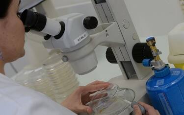 GettyImages-Microscopio