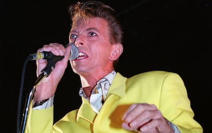 Scoperta una nuova vespa fossile, "dedicata" a David Bowie