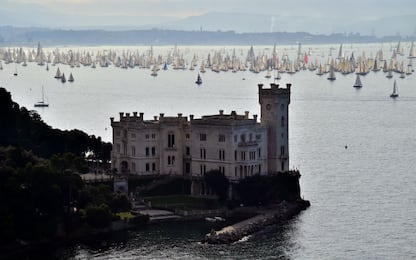 Trieste sarà Capitale Europea della Scienza nel 2020