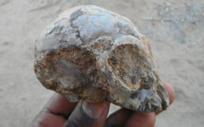 Kenya, un cranio conferma l'origine comune di scimmie ed esseri umani