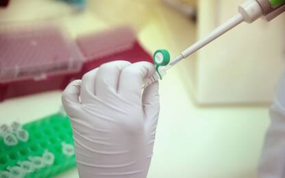 Vaccino anti-eroina efficace sui topi: vicino il test sull'uomo