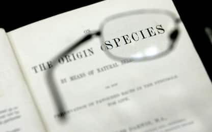 158 anni fa veniva pubblicata "L'origine delle specie" di Darwin