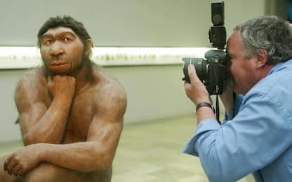 I Neanderthal modellavano armi con il fuoco: la scoperta in Italia 