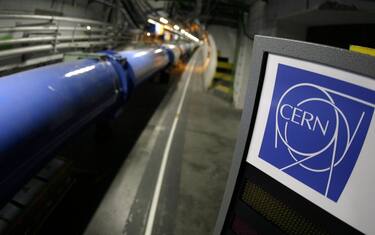 ansa-cern-fisica