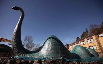 Loch Ness, nuova ipotesi: Nessie sarebbe un’anguilla gigante