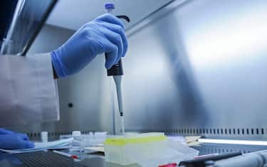 Editing genetico: le tecniche Crispr e Talen a confronto. Lo studio