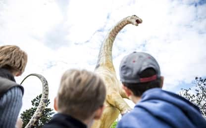 Ritrovati in Sudafrica i resti di un 'parente' del brontosauro