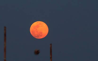 La Luna Fragola pronta a illuminare il cielo del 17 giugno