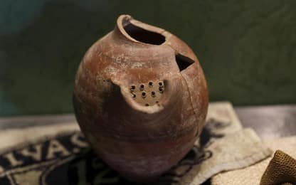 Da un lievito di 5mila anni fa ottenuta la birra degli Antichi Egizi