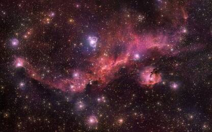 Gli straordinari colori della Nebulosa Gabbiano. VIDEO