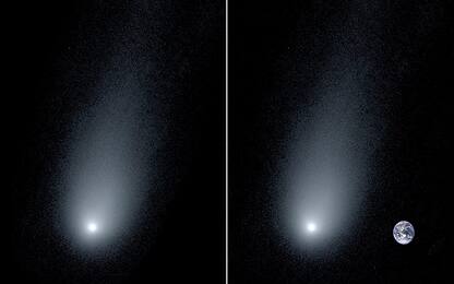La cometa interstellare 2I/Borisov ha una coda lunga 12 volte la Terra