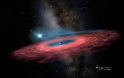 Nella Via Lattea un buco nero stellare che “non dovrebbe esistere”
