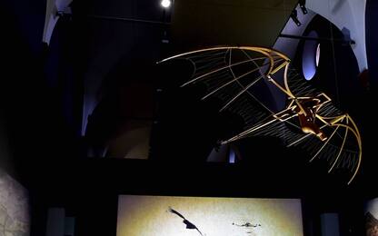 'Nuove gallerie di Leonardo', apre la permanente su da Vinci