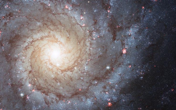 Svelato Il Segreto Che Da A Una Galassia La Forma A Spirale Sky Tg24
