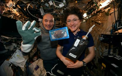 Iss, i primi biscotti cucinati nello spazio tornano sulla Terra