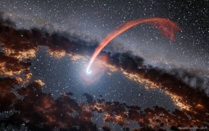 Ecco cosa succede quando una stella si avvicina troppo ad un buco nero