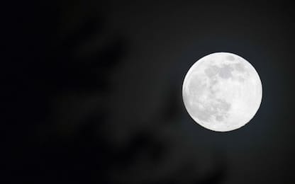La Superluna di aprile: è la più grande del 2020. FOTO
