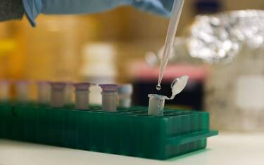 Tumori, riconsiderato il ruolo delle mutazioni genetiche “passeggero”