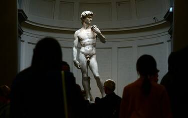 La giugulare nel David rivela l’occhio clinico di Michelangelo