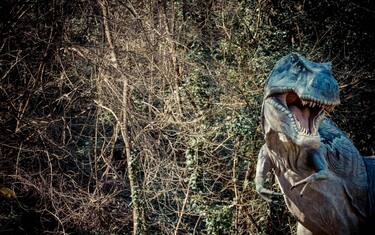 Mostra "Dinosauri in carne e ossa"