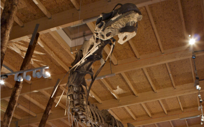 Dinosauri, la mostra al Mudec di Milano