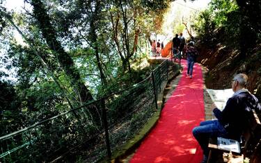 07_redcarpet_rapallo_fotogramma