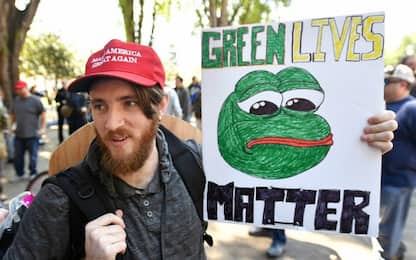 Pepe The Frog, il meme dell'estrema destra “ucciso” dal suo creatore