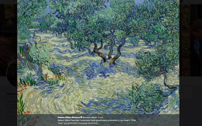 Scoperta una cavalletta intrappolata in un quadro di Van Gogh