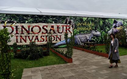 La mostra sui dinosauri a Milano