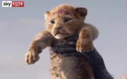 "Il Re Leone", ecco il trailer del nuovo live action Disney