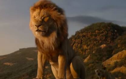 Il Re Leone, ecco il nuovo trailer in italiano. VIDEO